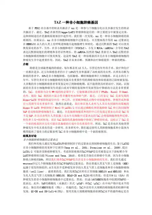 TAZ一种非小细胞肺癌基因
