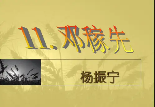 语文七年级下册第11课+邓稼先+课件