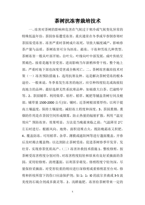 茶树抗冻害栽培技术
