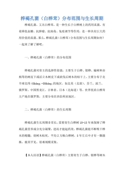桦褐孔菌(白桦茸)分布范围与生长周期