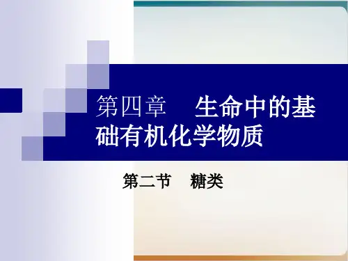 《糖类》完美ppt人教