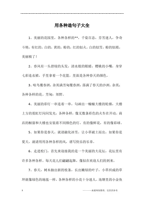 用各种造句子大全