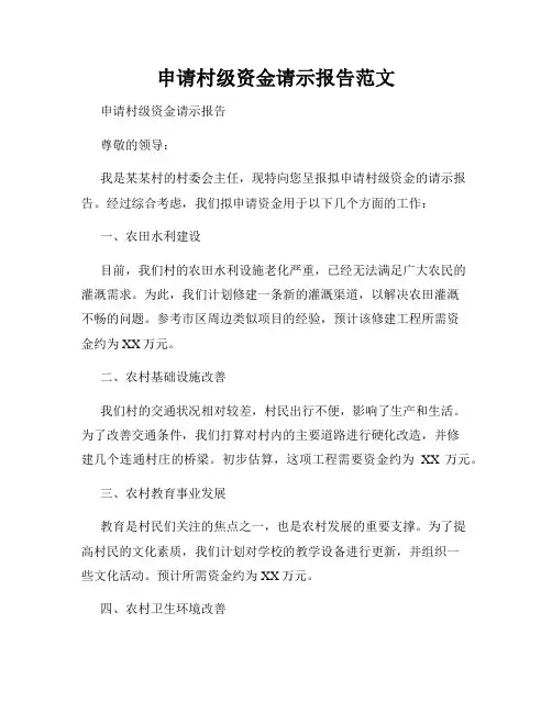 申请村级资金请示报告范文
