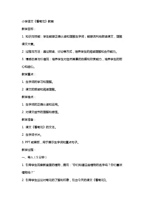 小学语文看菊花教案有范文