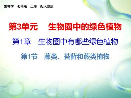 2019-2020学年人教版七年级生物上册教学课件：第三单元 第1章  第1节(共24张PPT)