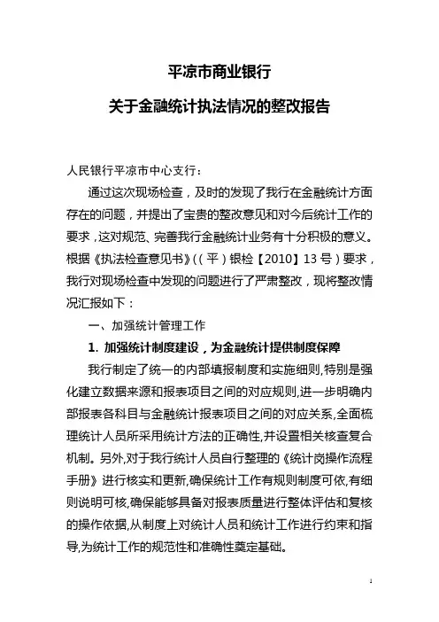 金融统计检查的整改报告