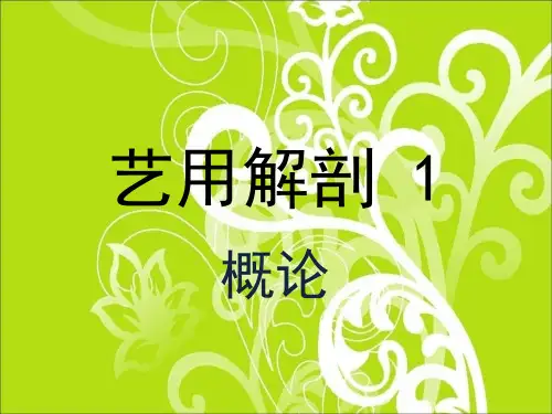 艺用解剖1