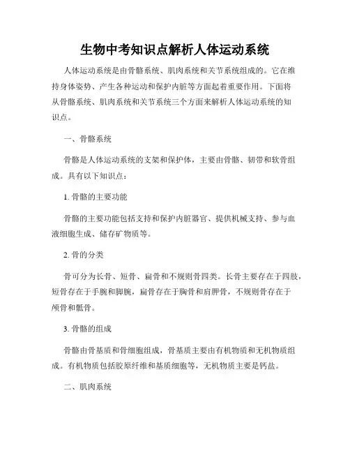 生物中考知识点解析人体运动系统