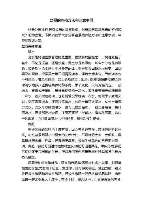 盆景的养殖方法和注意事项