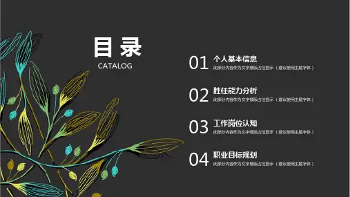 个人简历竞聘求职ppt模板(2)