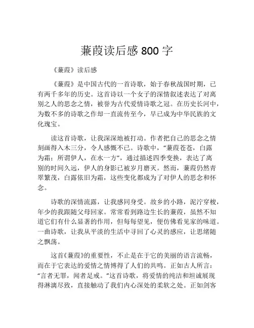 蒹葭读后感800字