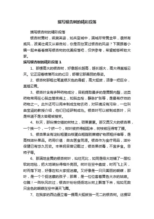 描写银杏树的精彩段落