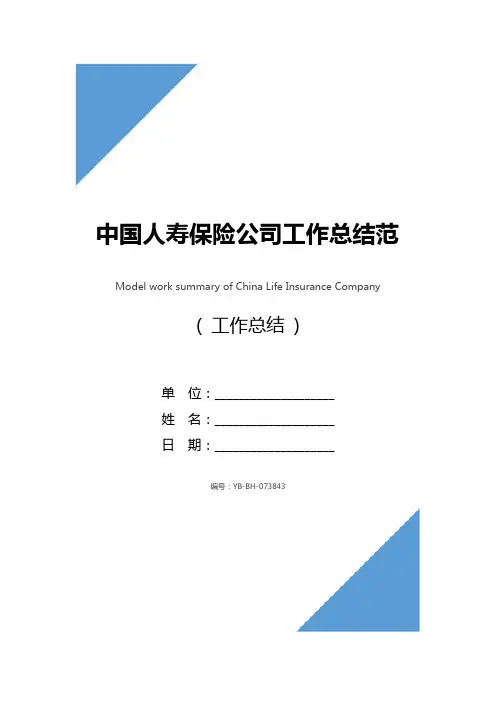 中国人寿保险公司工作总结范文