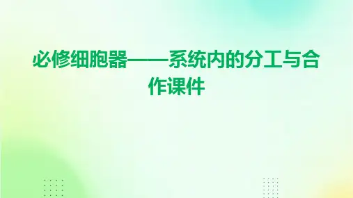 必修细胞器——系统内的分工与合作课件