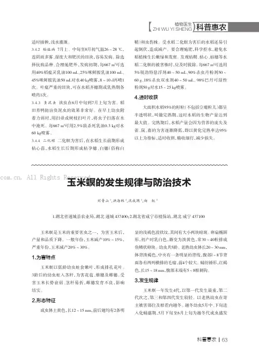玉米螟的发生规律与防治技术