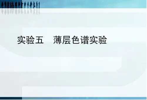 实验五-薄层色谱实验