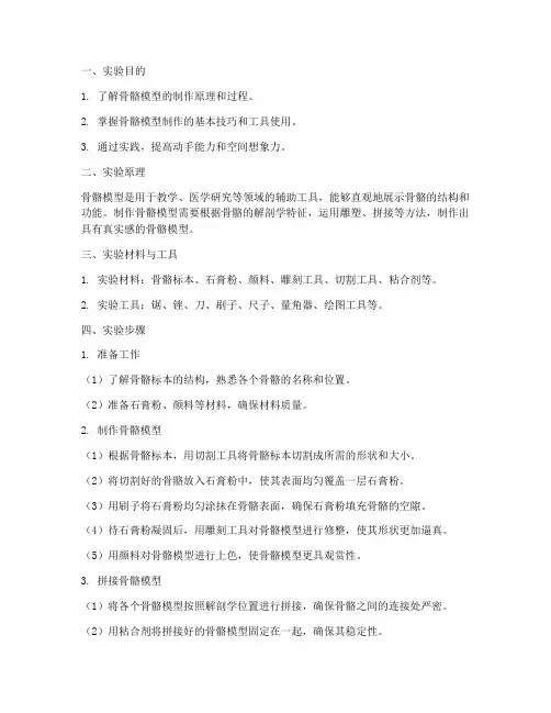制作骨骼模型_实验报告