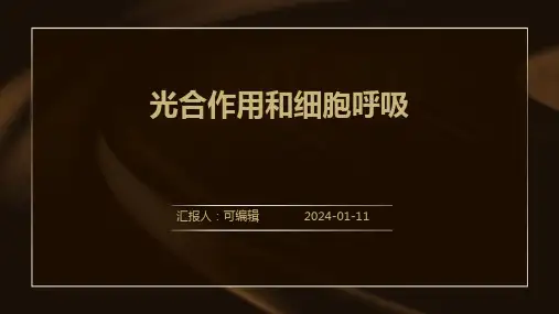 光合作用和细胞呼吸PPT