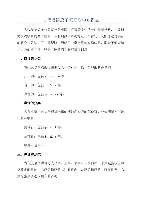 古代汉语唐子恒音韵学知识点