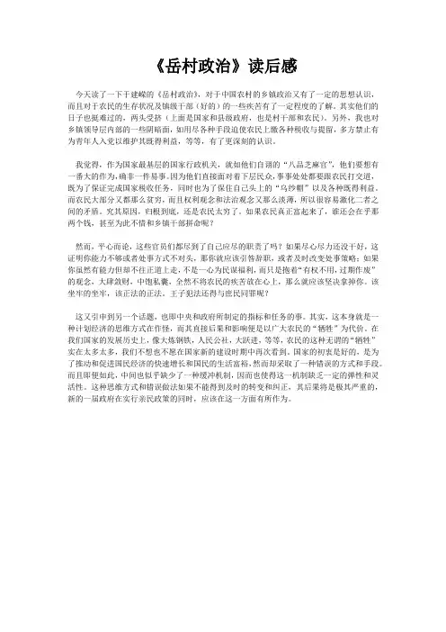 岳村政治读后感