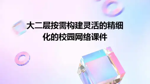 大二层按需构建灵活的精细化的校园网络课件