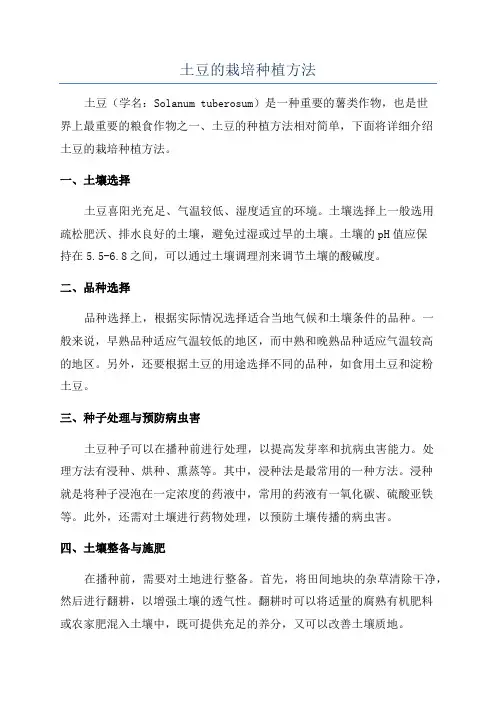 土豆的栽培种植方法