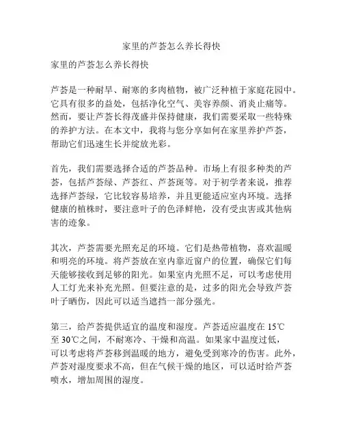 家里的芦荟怎么养长得快