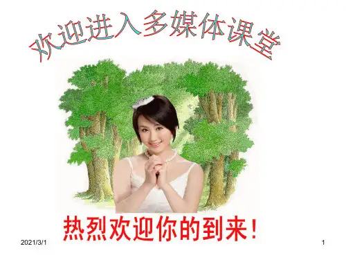 摩擦力解析PPT精品课件