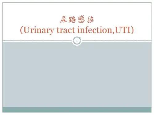 尿路感染概述课件PPT课件