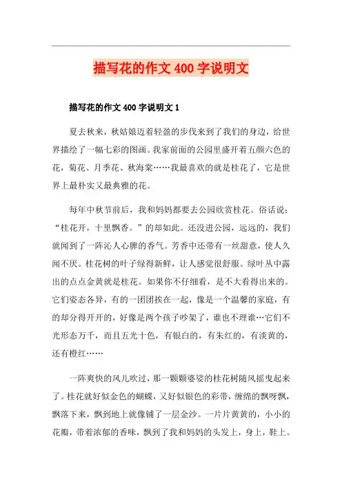 描写花的作文400字说明文