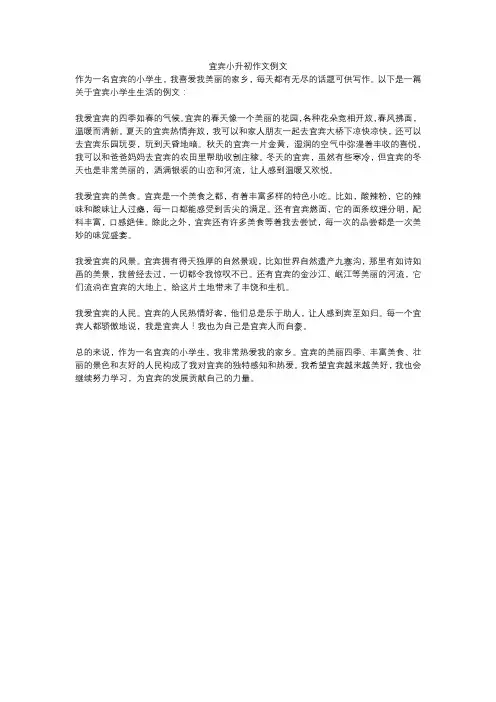 宜宾小升初作文例文