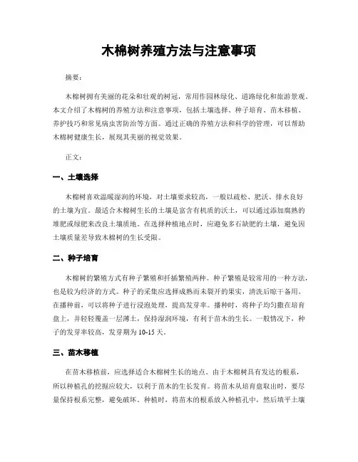 木棉树养殖方法与注意事项