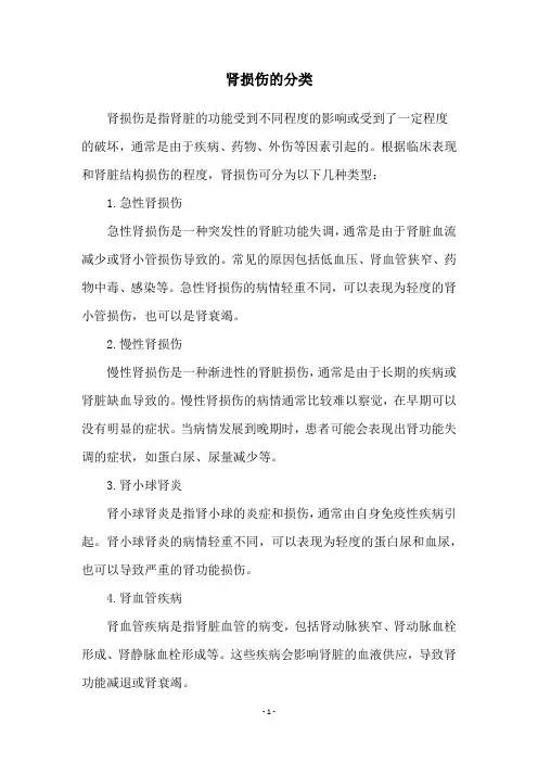 肾损伤的分类