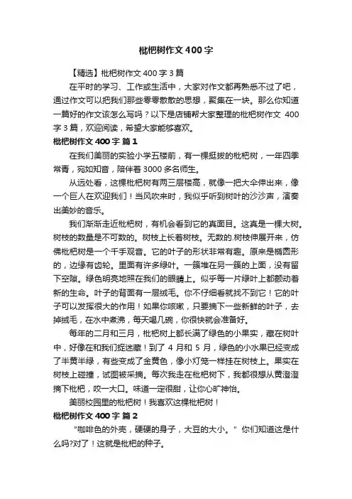 枇杷树作文400字