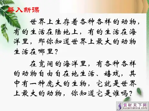 五年级上册《鲸》ppt课件(完整版)