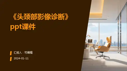 《头颈部影像诊断》PPT课件
