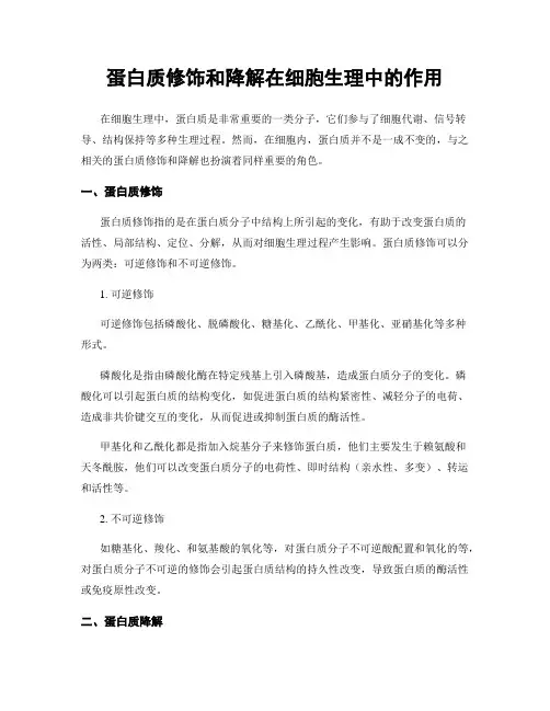蛋白质修饰和降解在细胞生理中的作用