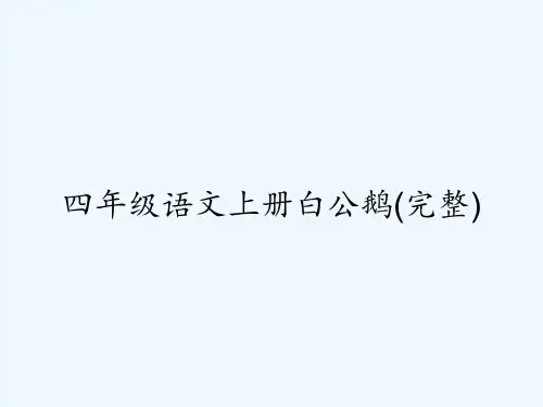 四年级语文上册白公鹅(完整) PPT