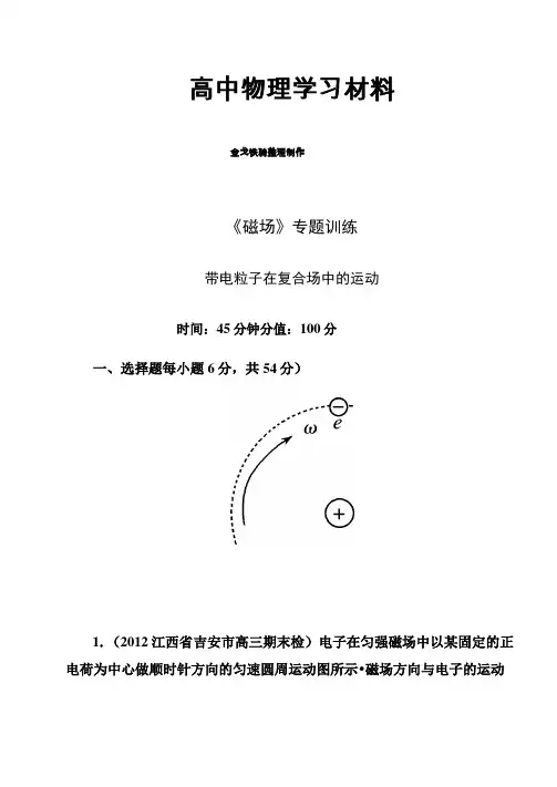 人教版高中物理选修3-1《磁场》专题训练
