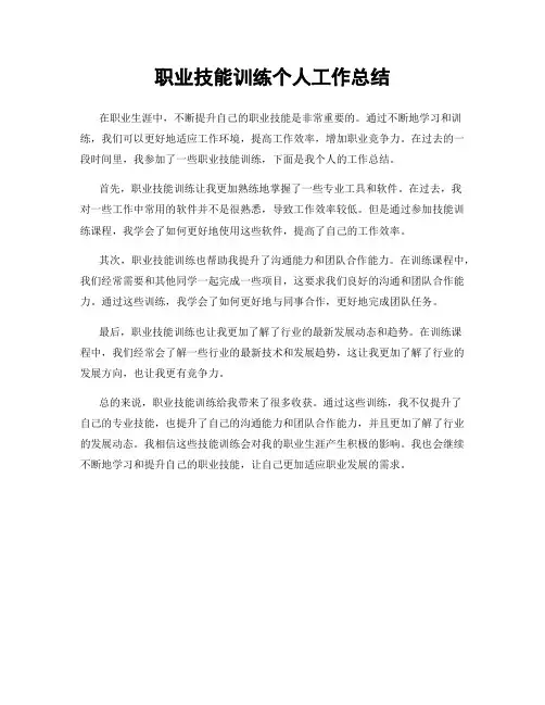 职业技能训练个人工作总结