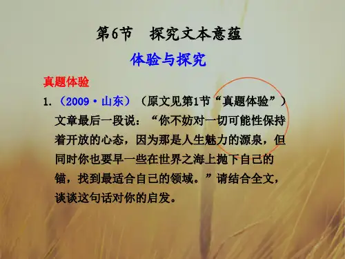 最新-2018年高考语文 探究文本意蕴专题复习课件 精品 