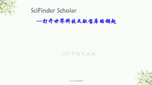 scifinder使用教程课件