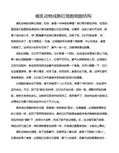 哺乳动物成熟红细胞细胞结构