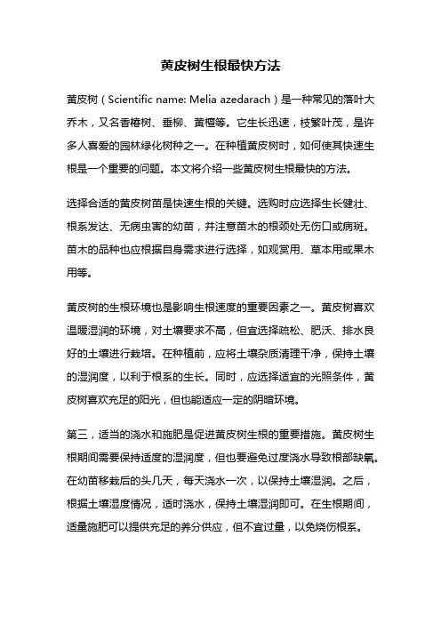 黄皮树生根最快方法