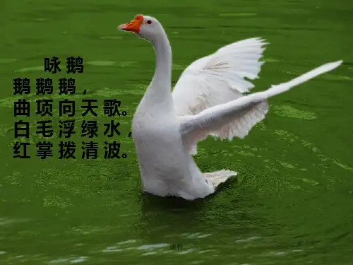 五年级下册《诗配画》全版.ppt