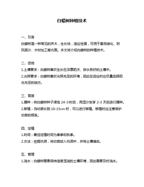 白蜡树种植技术