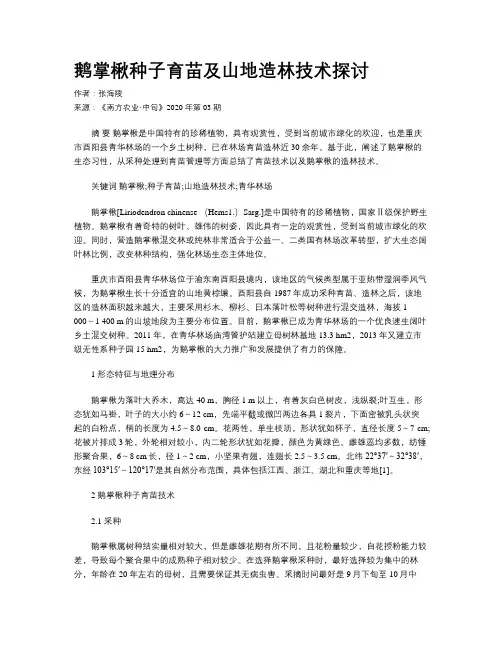 鹅掌楸种子育苗及山地造林技术探讨