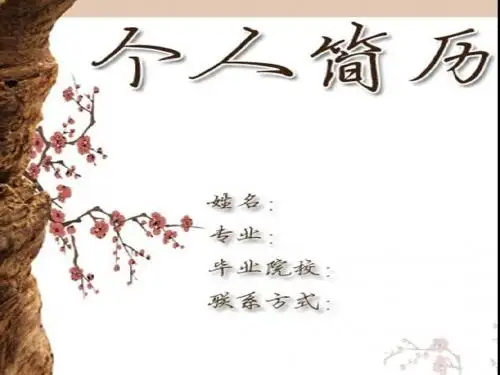 个人简历 模板