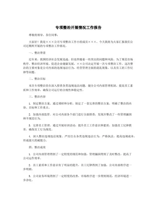 专项整治开展情况工作报告
