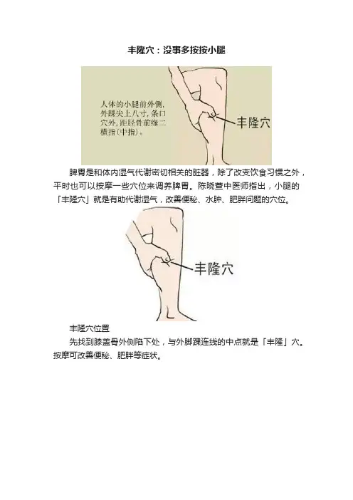 丰隆穴：没事多按按小腿